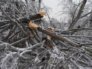 AAA PUBLIC ADJUSTER, LLC FEB.17 BLOG PHOTO