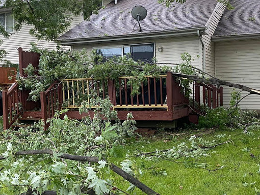Storm Damage Tips - Storm damage to property image